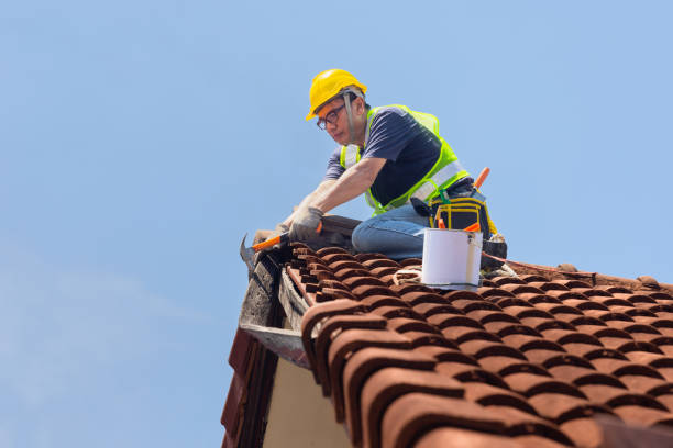 Best Slate Roofing  in Webberville, MI